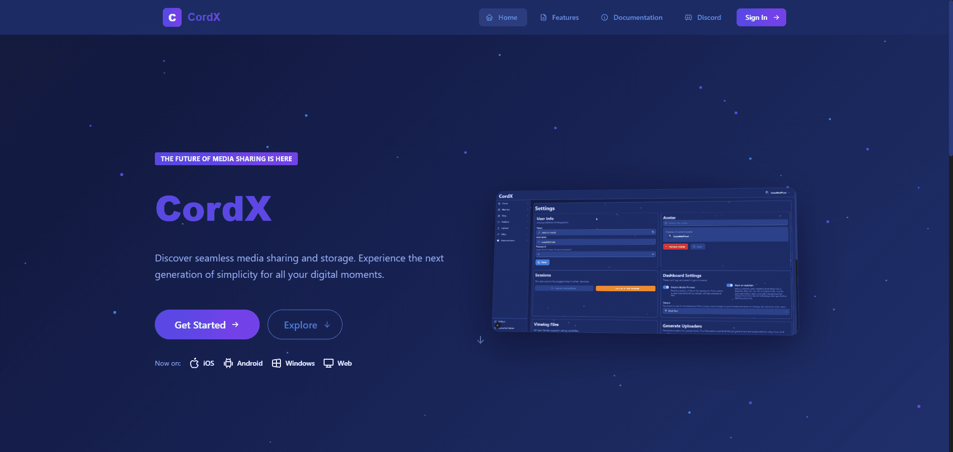 Project screenshot 1