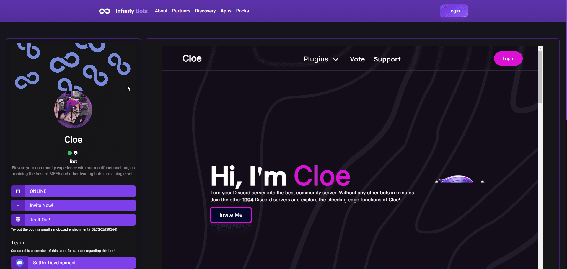 Project screenshot 1